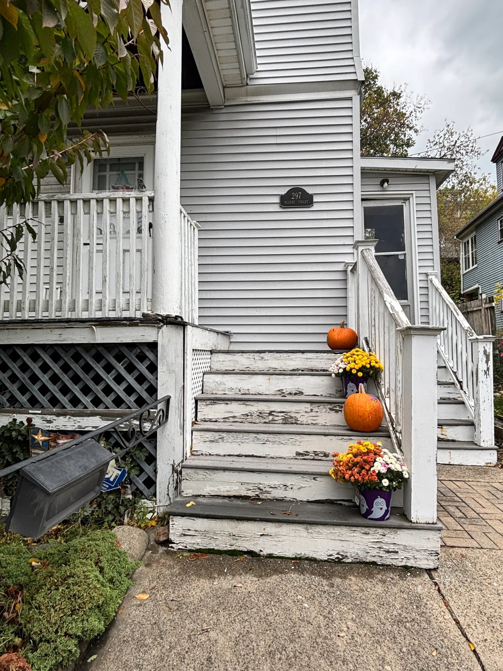 Weathered wood entry steps with peeling white paint, white railings, and vinyl siding on a front porch